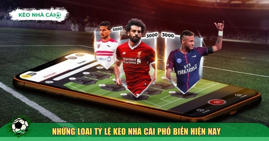 Những loại tỷ lệ kèo nhà cái phổ biến hiện nay